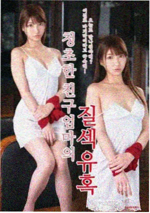 电视剧雪线以北封面